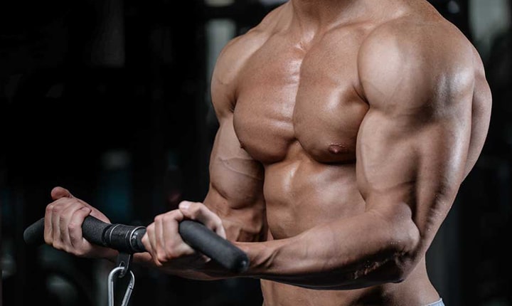 Best Biceps Exercises